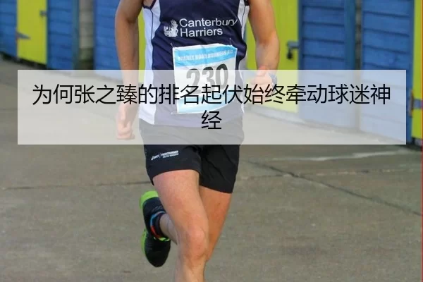 为何张之臻的排名起伏始终牵动球迷神经
